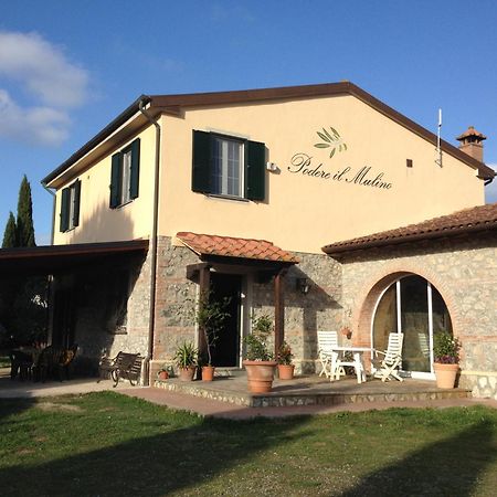 Podere Il Mulino Pieve di Santa Luce Eksteriør bilde