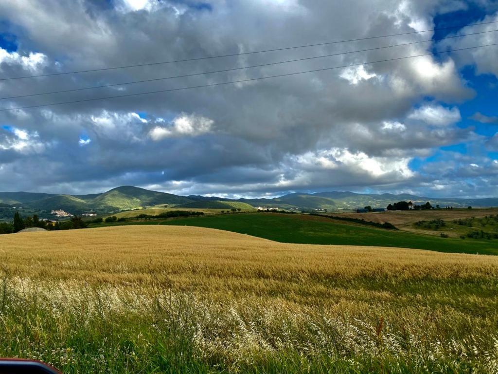 Podere Il Mulino Pieve di Santa Luce Eksteriør bilde