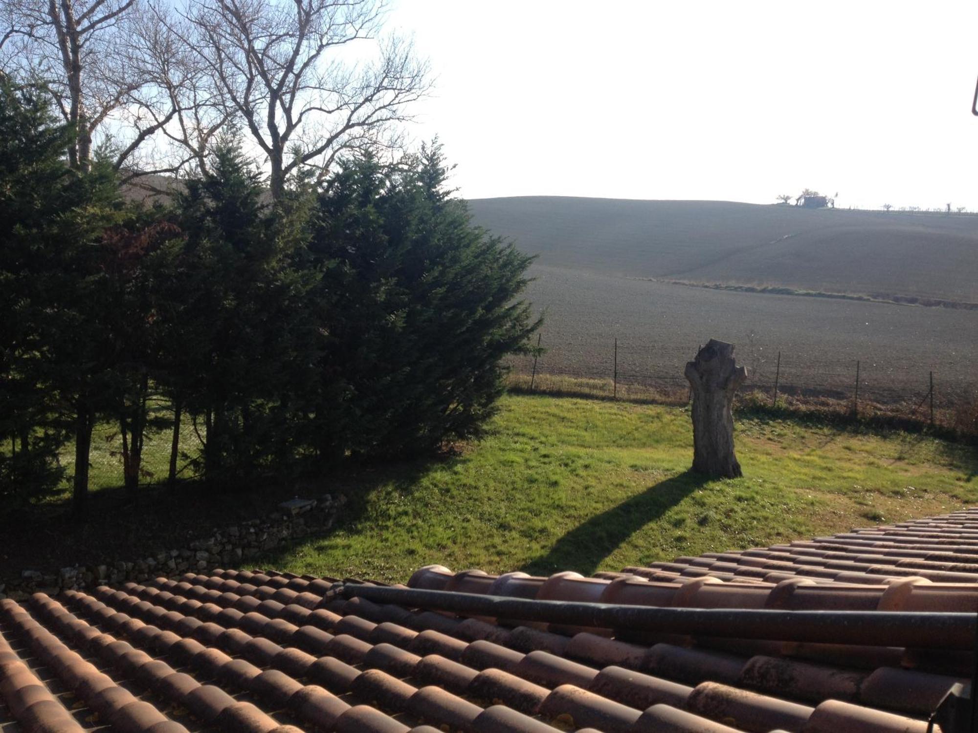 Podere Il Mulino Pieve di Santa Luce Eksteriør bilde