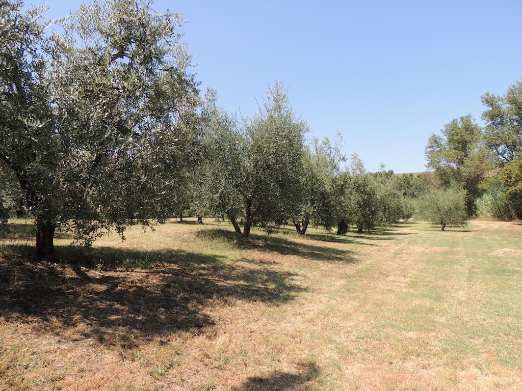 Podere Il Mulino Pieve di Santa Luce Eksteriør bilde