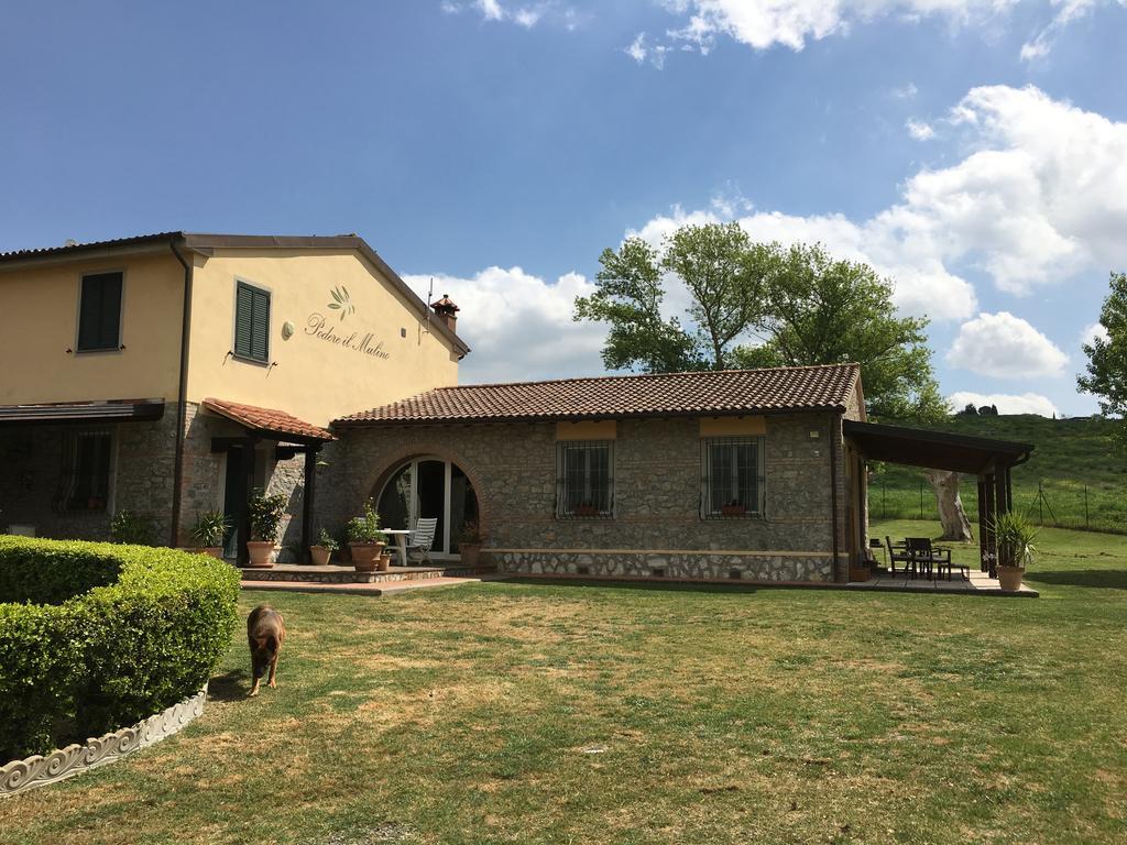 Podere Il Mulino Pieve di Santa Luce Eksteriør bilde